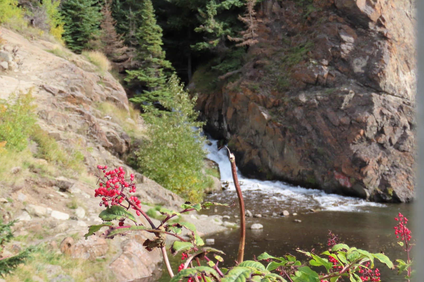 McHugh Creek Trailhead on Seward Highway  5 of 23 (#2312)