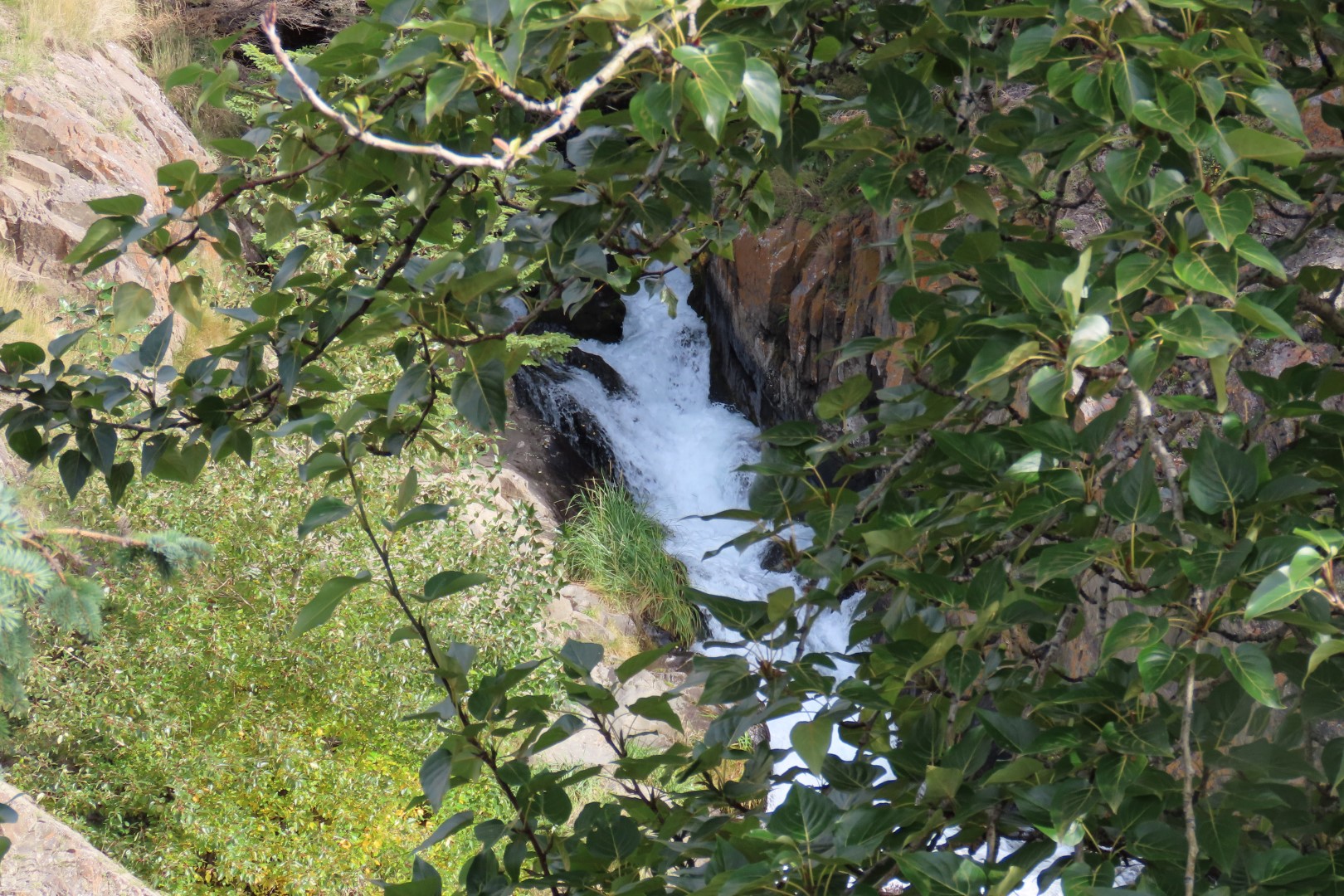 McHugh Creek Trailhead on Seward Highway  8 of 23 (#2315)