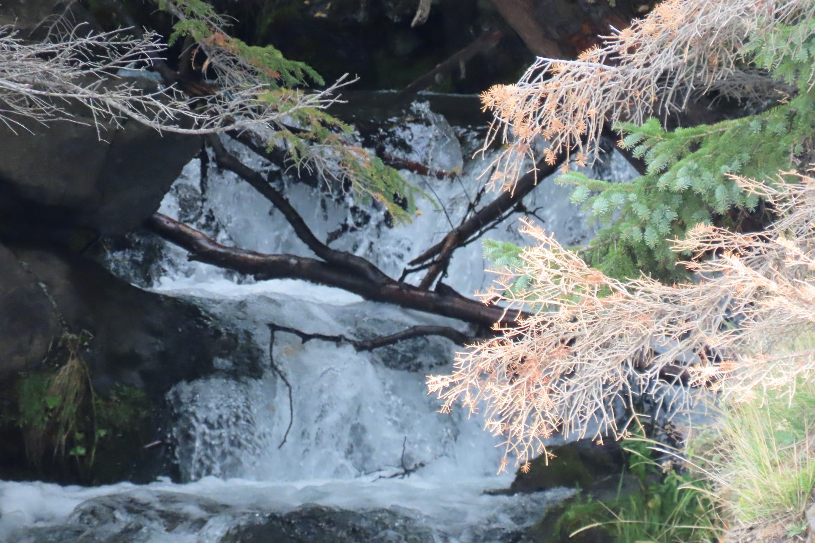 McHugh Creek Trailhead on Seward Highway 12 of 23 (#2319)
