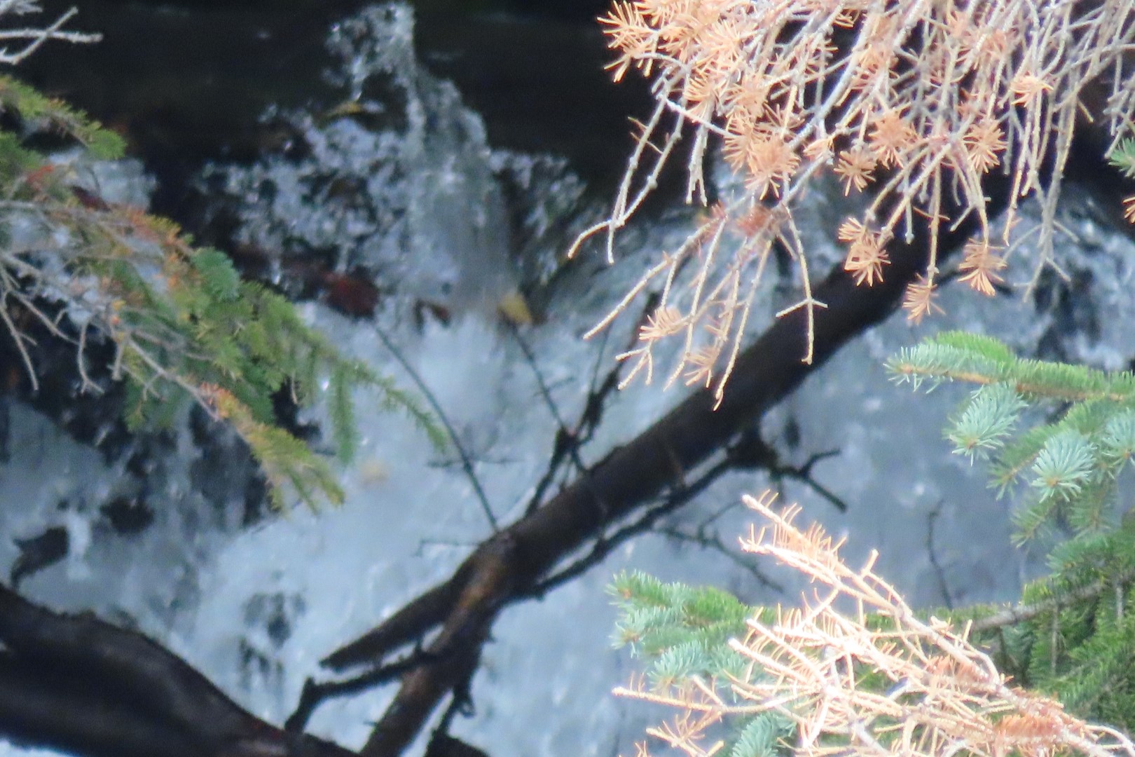 McHugh Creek Trailhead on Seward Highway 14 of 23 (#2322)