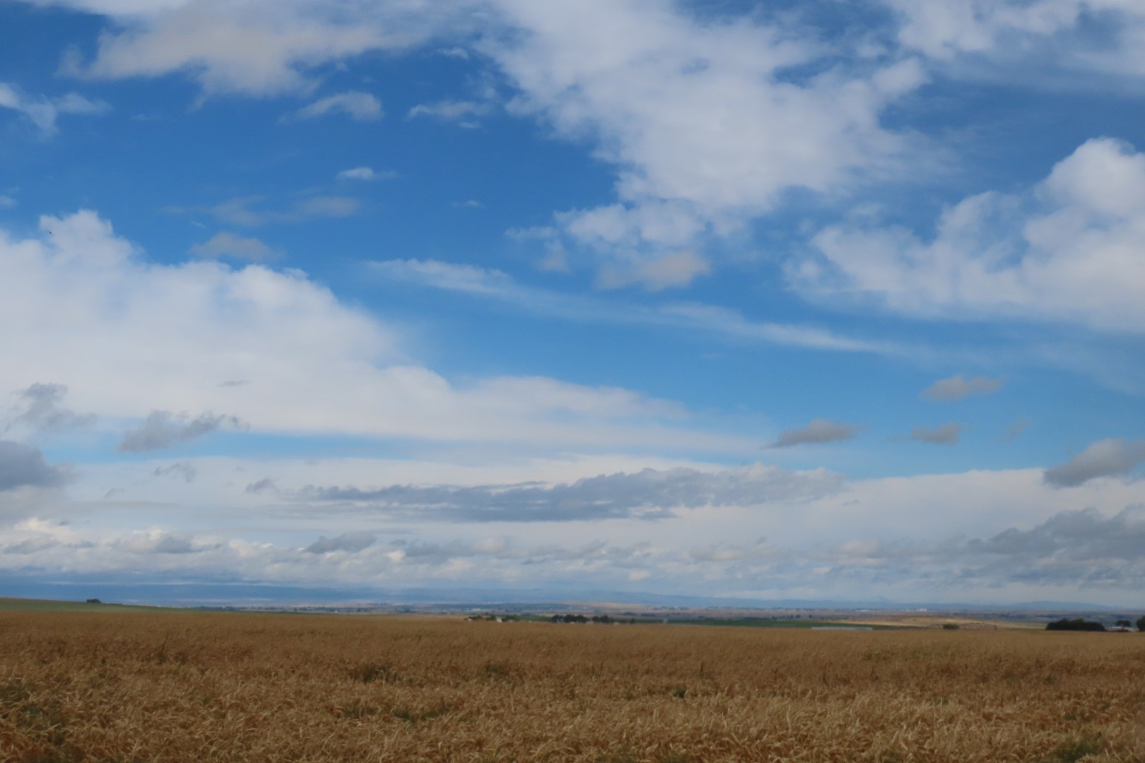 Snake River in Idaho adjacent to Hagerman Fossil Bed National Park  7 of  7 (#2350)