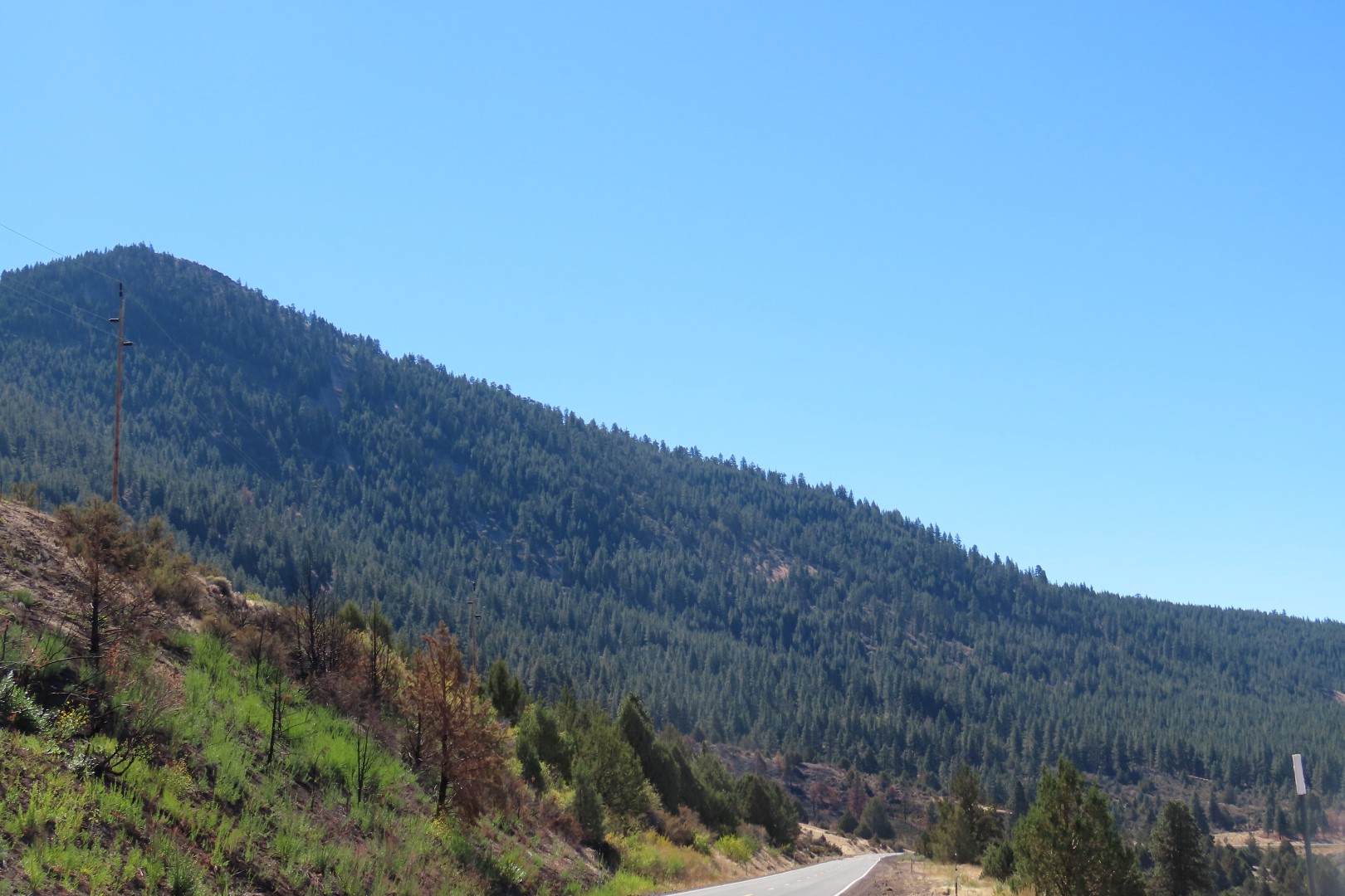Along highways of northern California  4 of  4 (#2361)