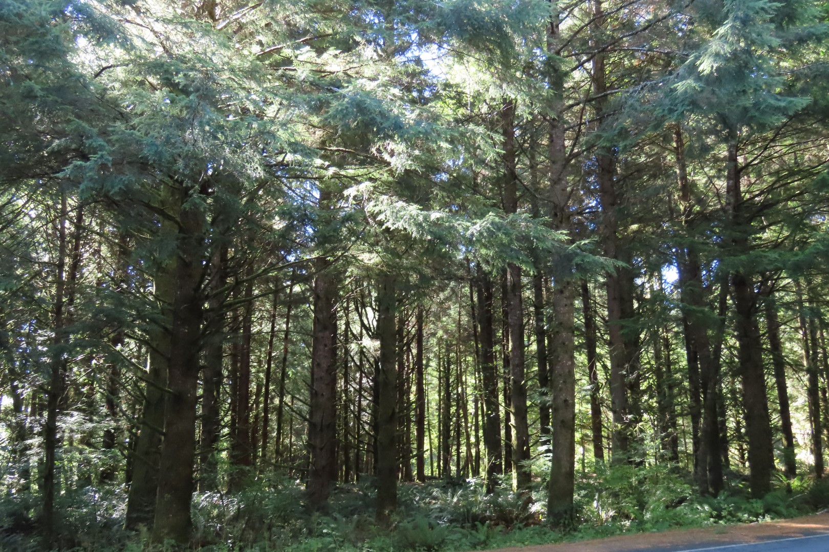 Visitor Center at Lewis and Clark National Park near Astoria, Oregon   2 of 30 (#2379)