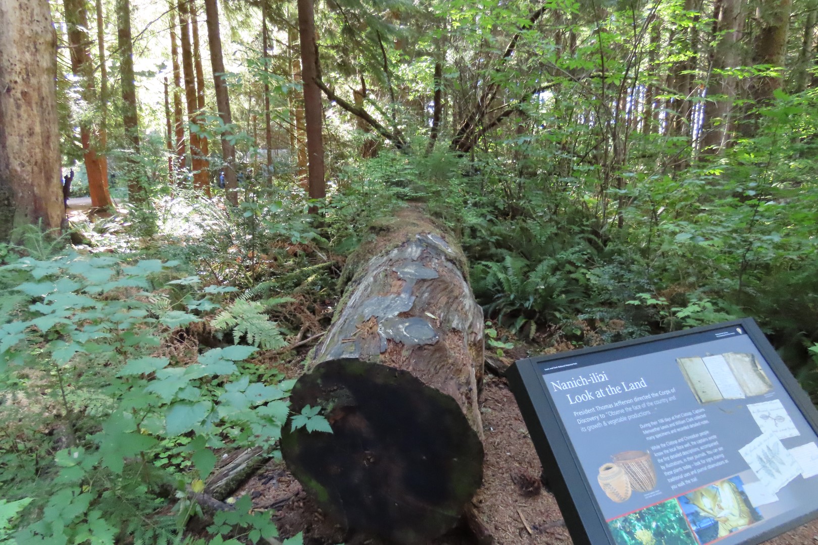Fort Clatsop at Lewis and Clark National Park near Astoria, Oregon  1 of 15 (#2409)
