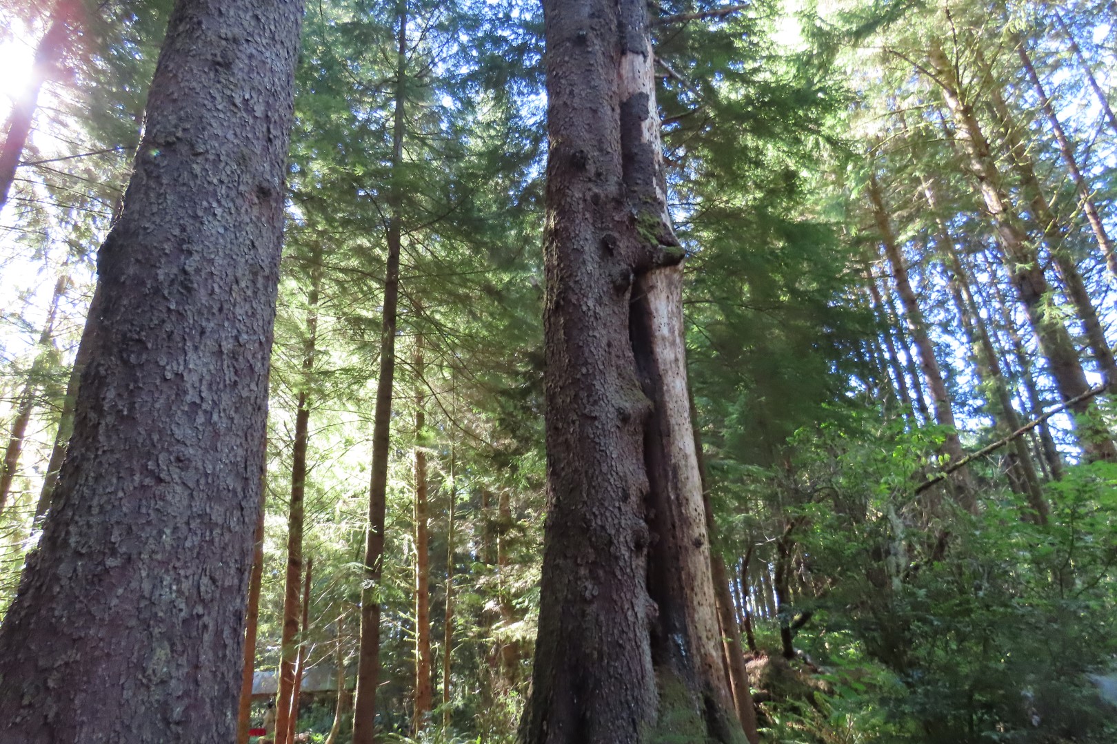 Fort Clatsop at Lewis and Clark National Park near Astoria, Oregon 15 of 15 (#2423)