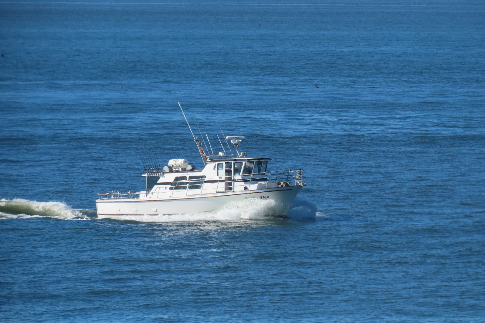 Astoria, Oregon near hotel  3 of 16 (#2444)