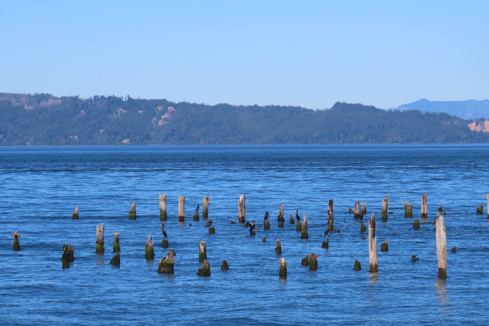 Astoria, Oregon near hotel  5 of 16 (#2446)