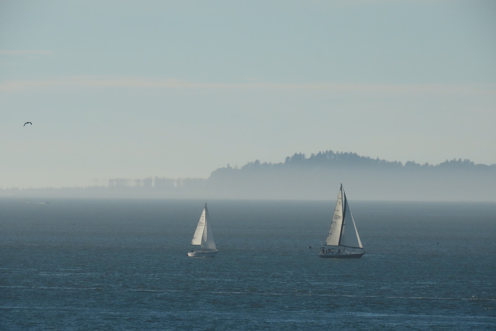 Astoria, Oregon near hotel  3 of 21 (#2462)