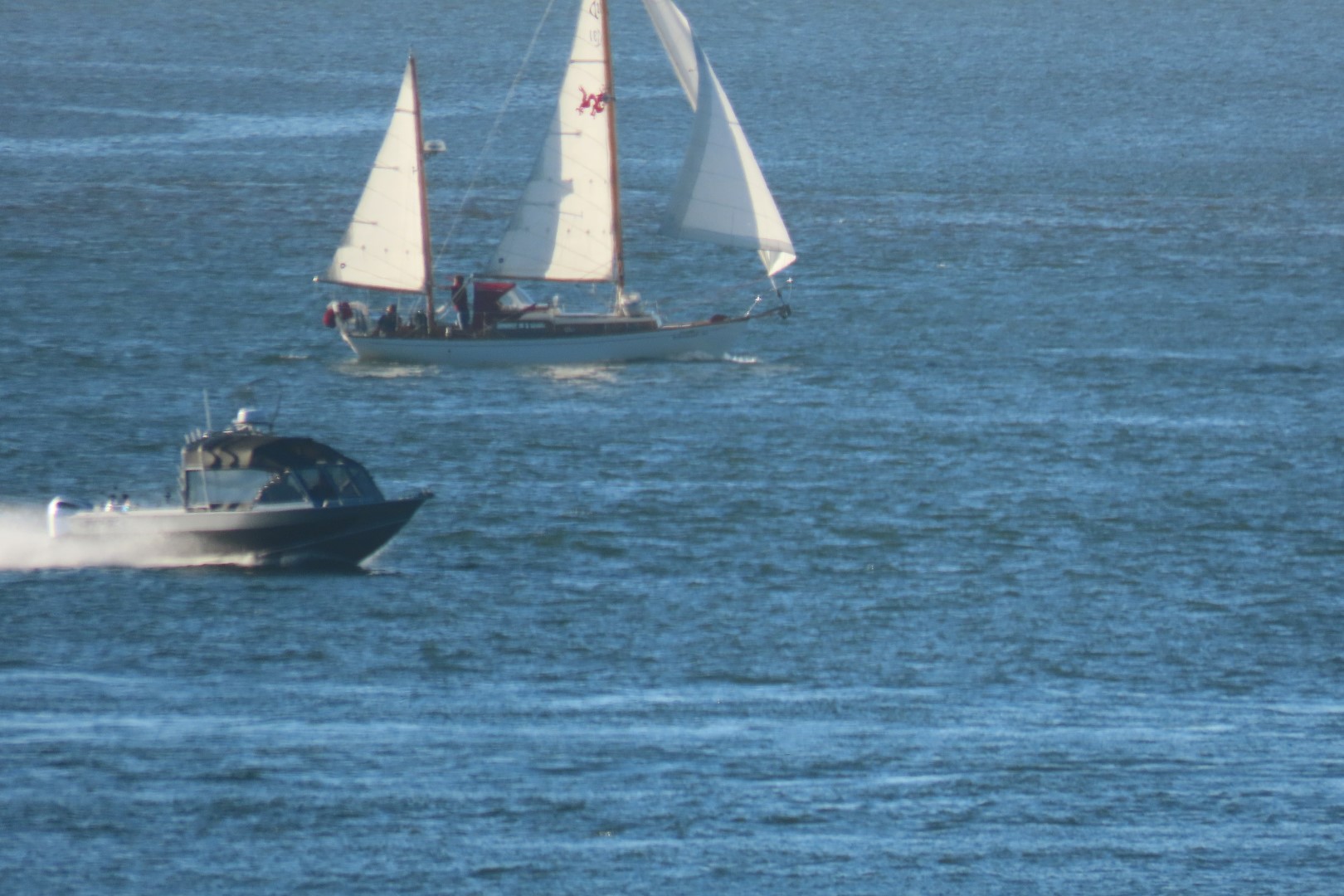 Astoria, Oregon near hotel  4 of 21 (#2463)