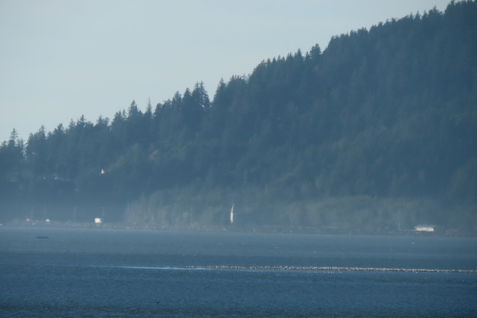 Astoria, Oregon near hotel  5 of 21 (#2464)