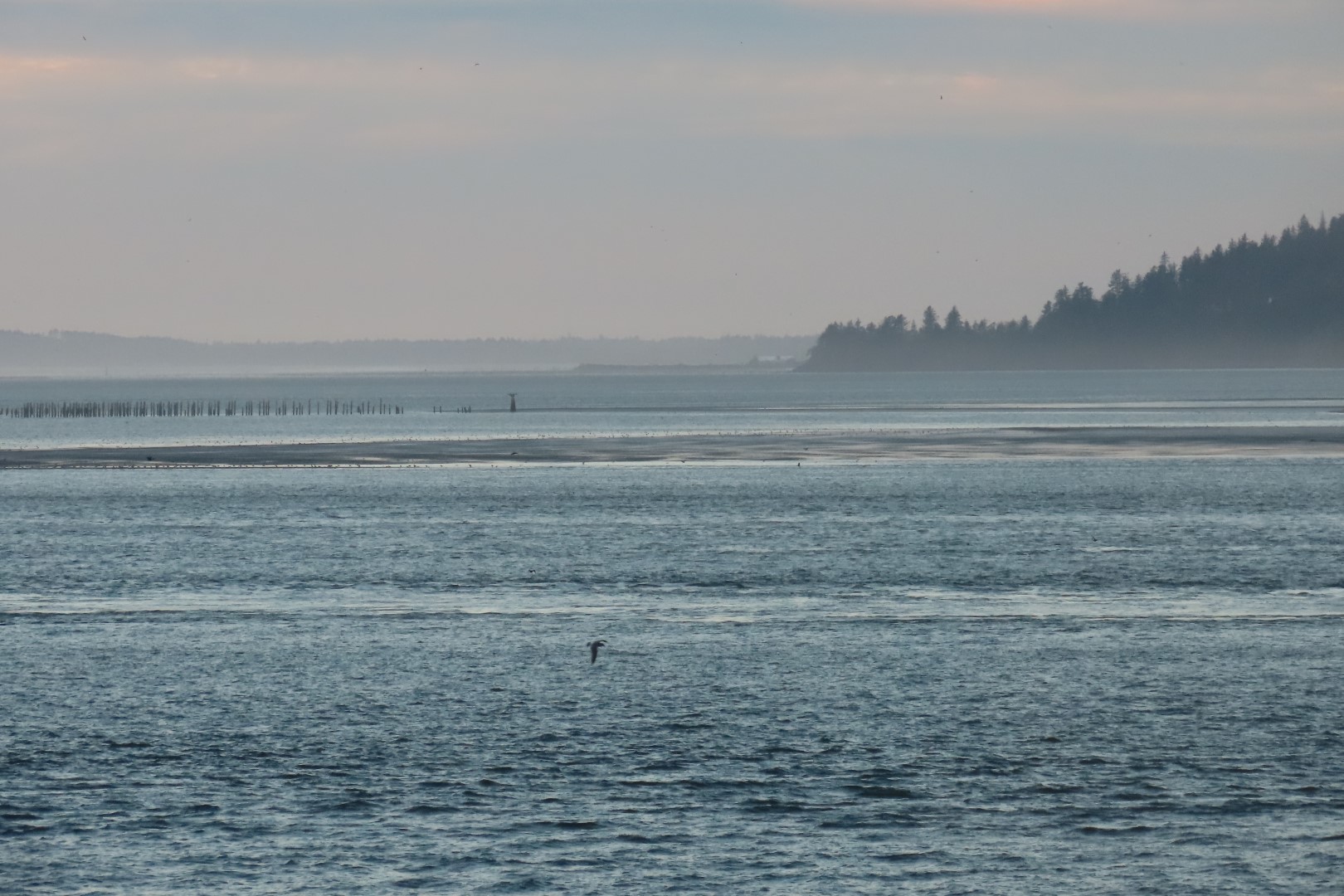 Astoria, Oregon near hotel 11 of 21 (#2474)