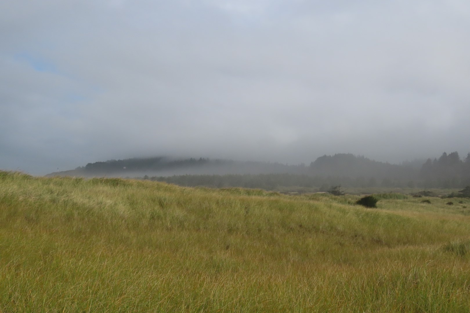 Cape Disappointment State Park in Washington  5 of 11 (#2490)