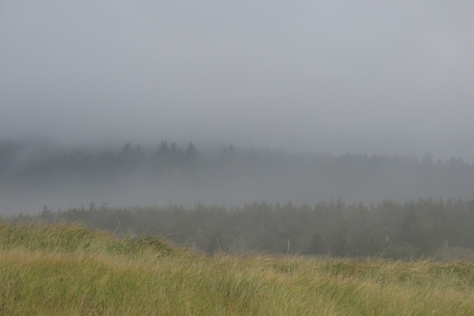 Cape Disappointment State Park in Washington  8 of 11 (#2493)