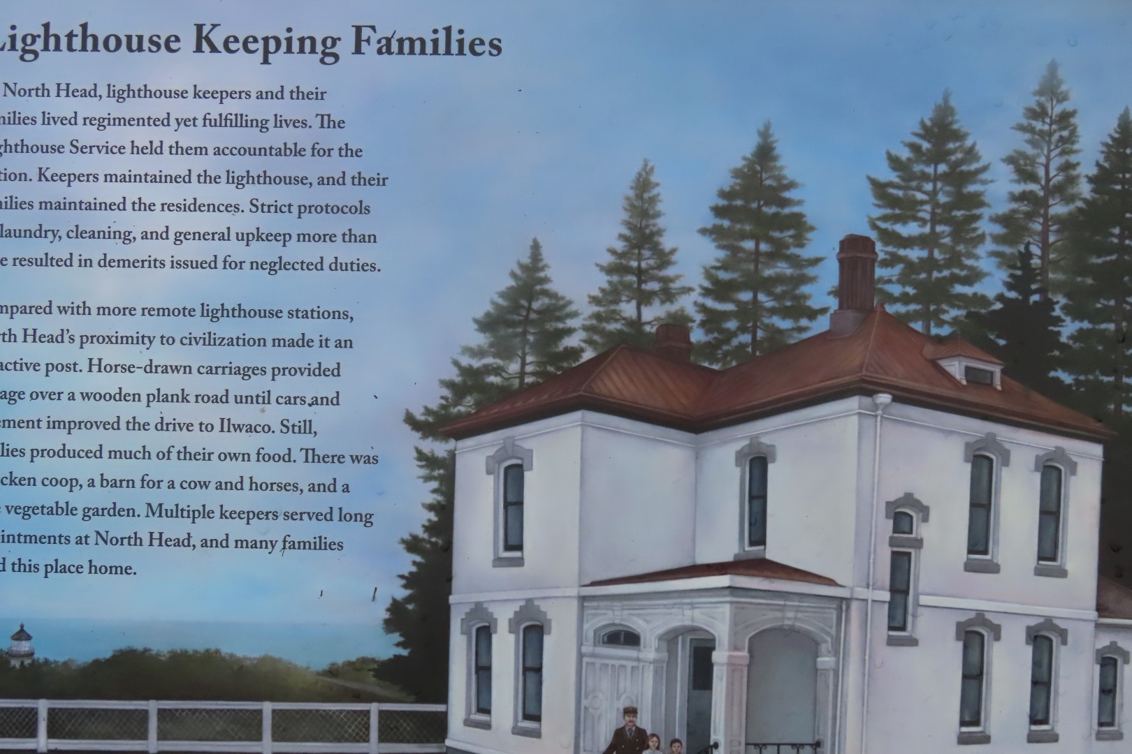 Along trails at North Head Lighthouse in Cape Disappointment State Park near Ilwaco Washington Washington  2 of 34 (#2500)