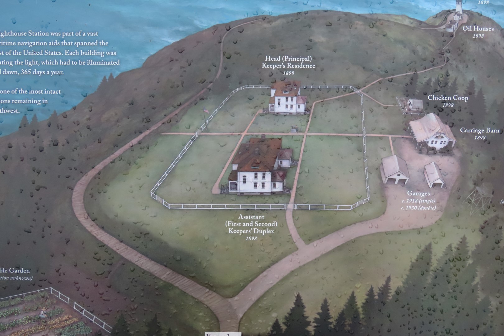 Along trails at North Head Lighthouse in Cape Disappointment State Park near Ilwaco Washington Washington  3 of 34 (#2501)