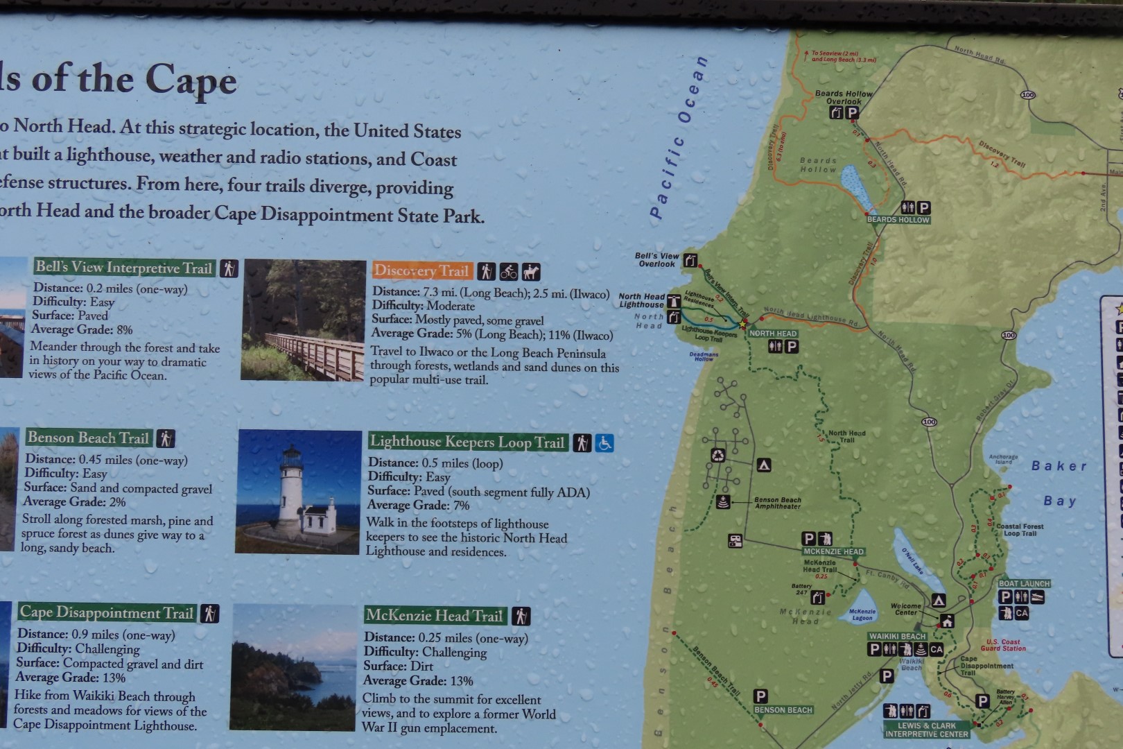 Along trails at North Head Lighthouse in Cape Disappointment State Park near Ilwaco Washington Washington  5 of 34 (#2503)