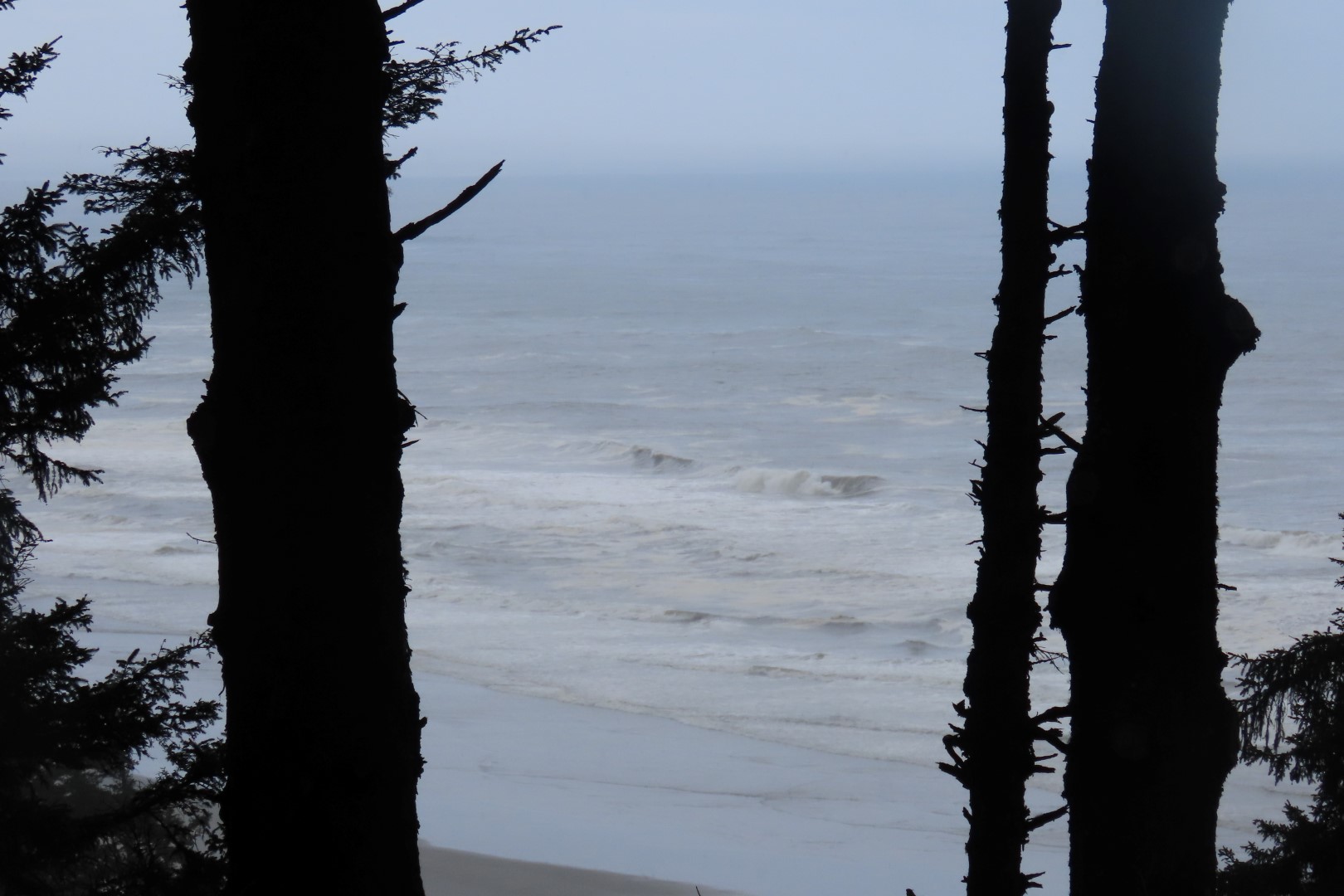 Along trails at North Head Lighthouse in Cape Disappointment State Park near Ilwaco Washington Washington  6 of 34 (#2504)