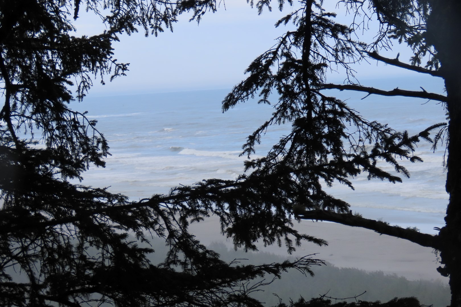 Along trails at North Head Lighthouse in Cape Disappointment State Park near Ilwaco Washington Washington  7 of 34 (#2505)