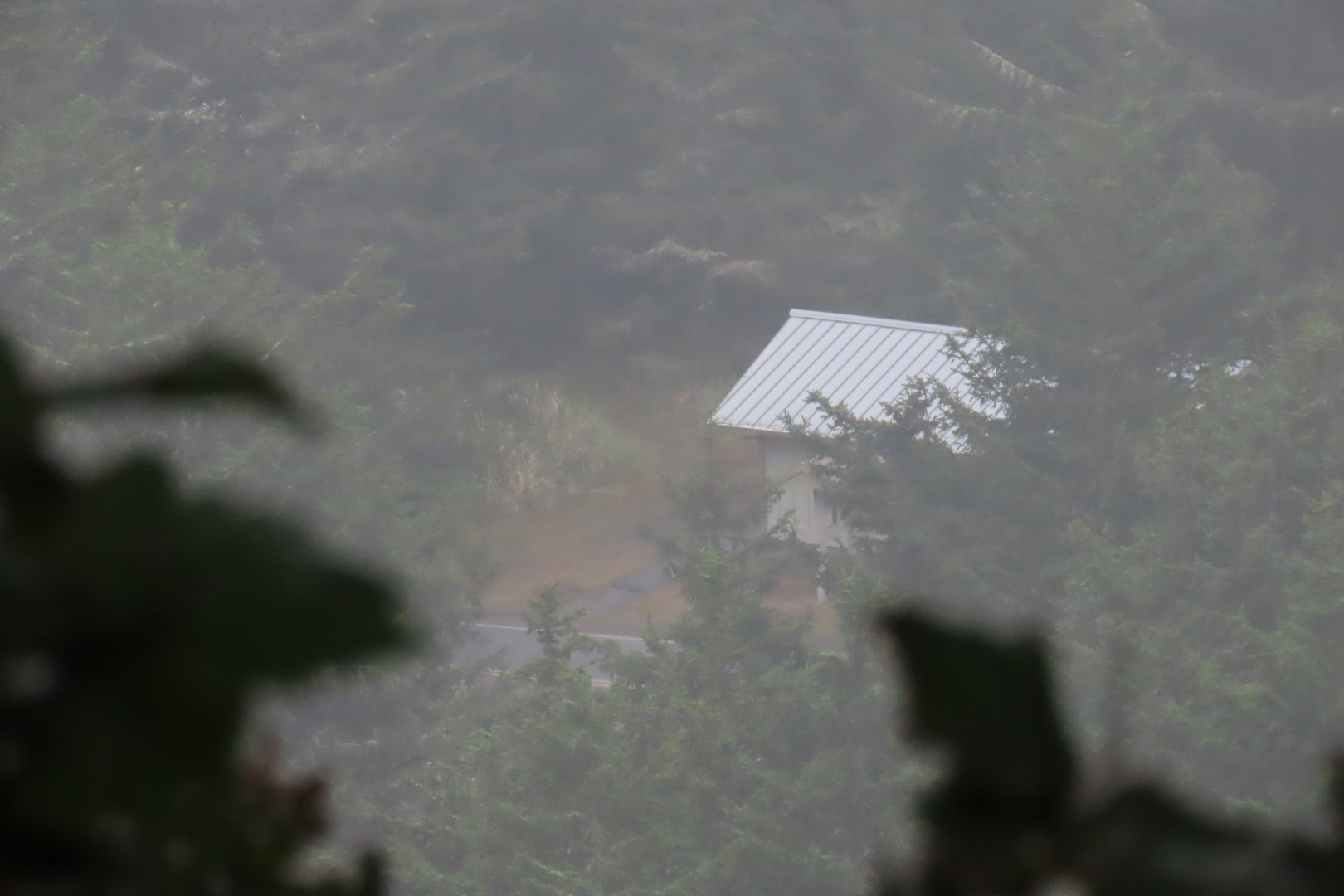 Along trails at North Head Lighthouse in Cape Disappointment State Park near Ilwaco Washington Washington 11 of 34 (#2509)