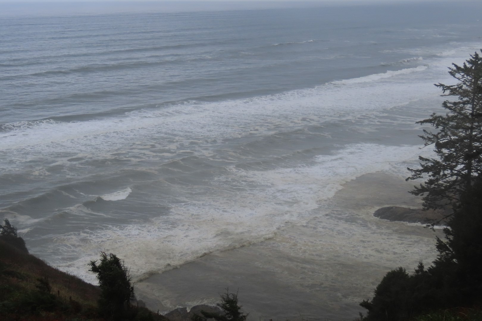 Along trails at North Head Lighthouse in Cape Disappointment State Park near Ilwaco Washington Washington 22 of 34 (#2520)
