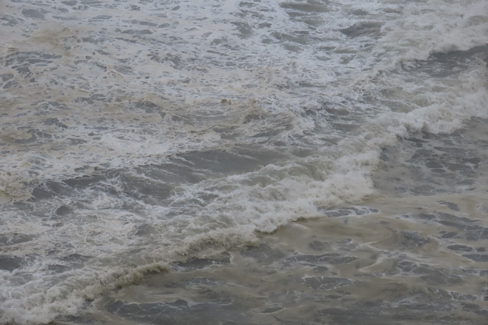 Along trails at North Head Lighthouse in Cape Disappointment State Park near Ilwaco Washington Washington 23 of 34 (#2521)
