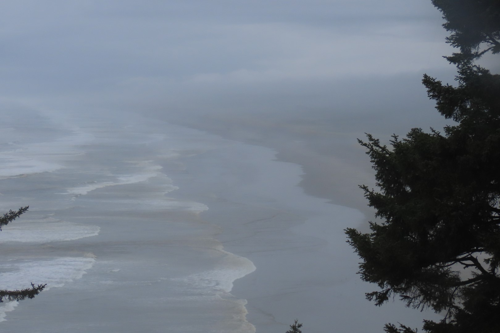 Along trails at North Head Lighthouse in Cape Disappointment State Park near Ilwaco Washington Washington 24 of 34 (#2522)
