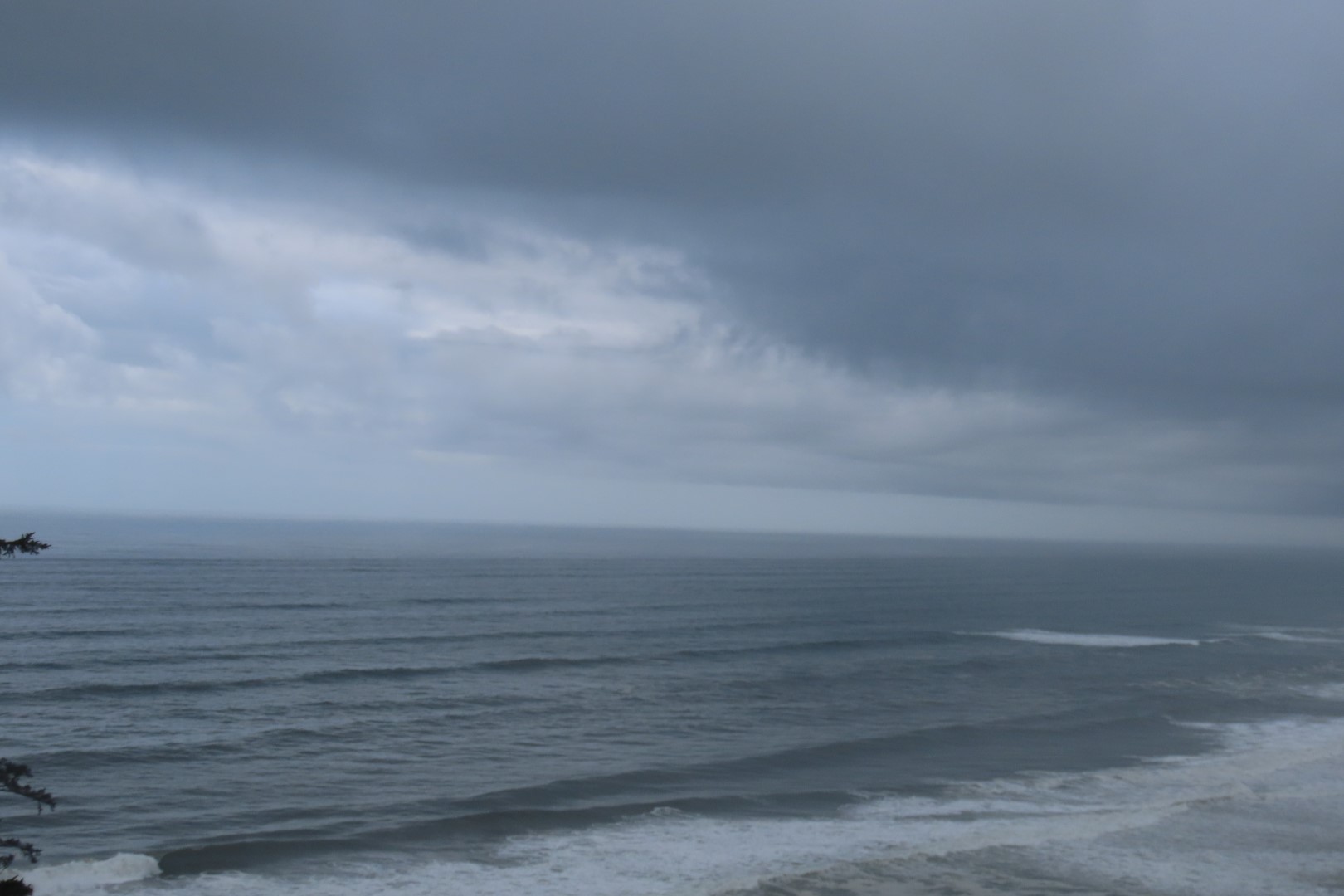 Along trails at North Head Lighthouse in Cape Disappointment State Park near Ilwaco Washington Washington 27 of 34 (#2525)