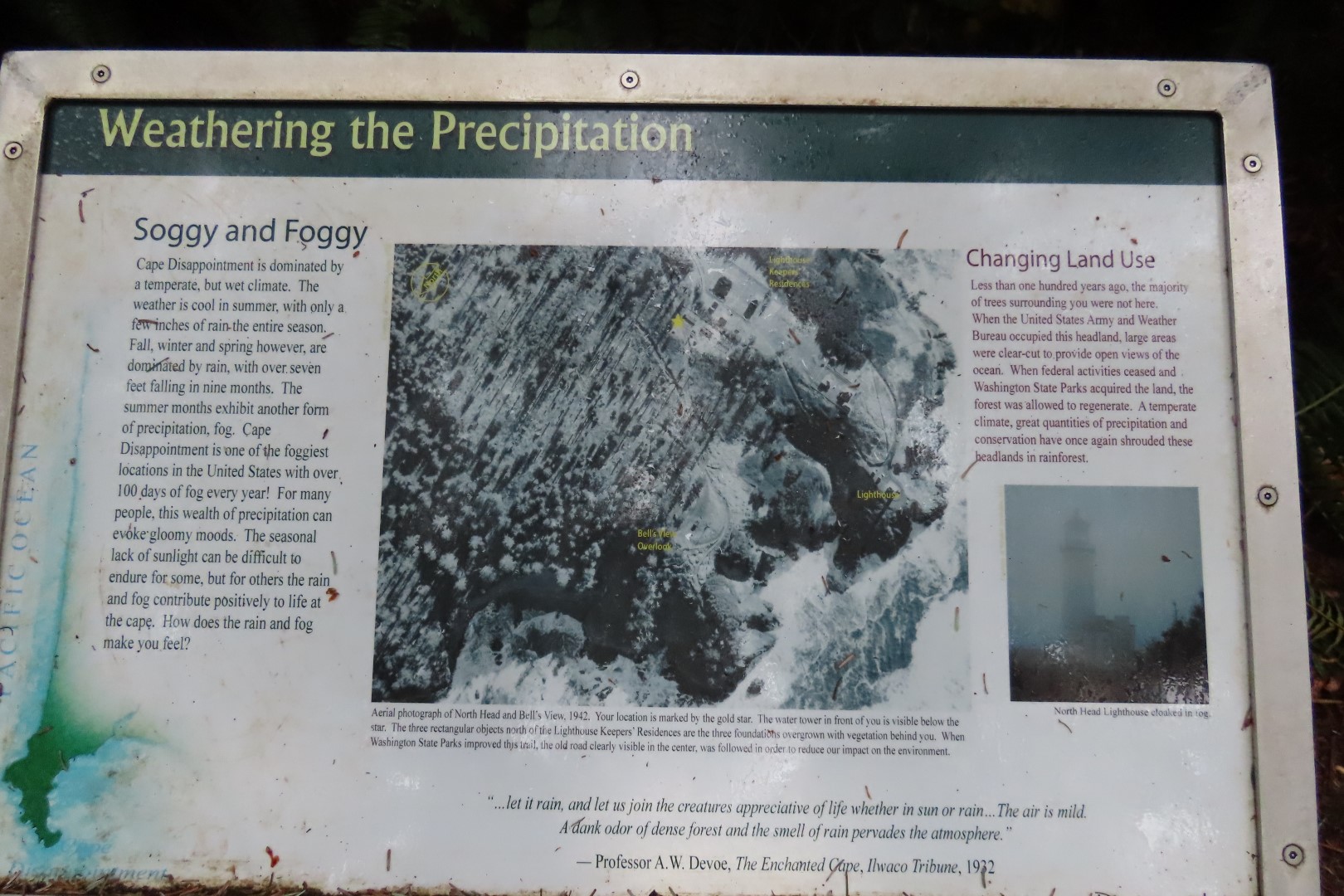 Along trails at North Head Lighthouse in Cape Disappointment State Park near Ilwaco Washington Washington 29 of 34 (#2527)