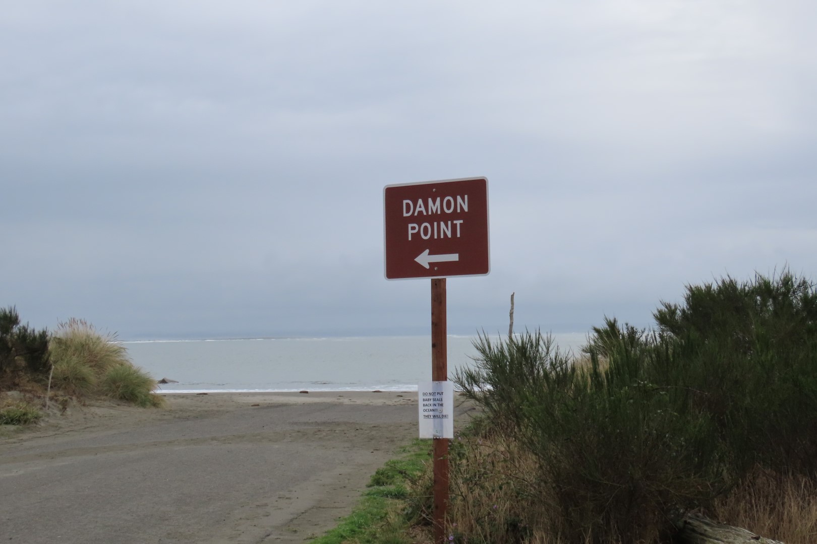 Damon Point near Ocean Shores Washington  2 of  5 (#2535)