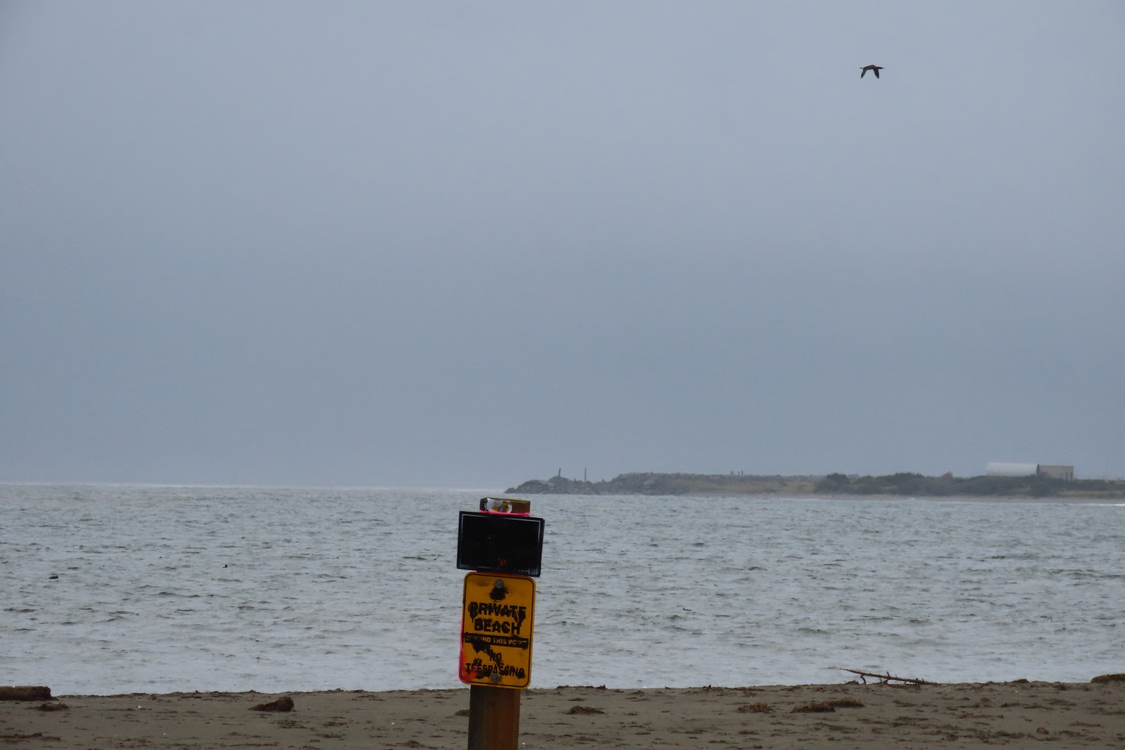 Damon Point near Ocean Shores Washington  4 of  5 (#2536)