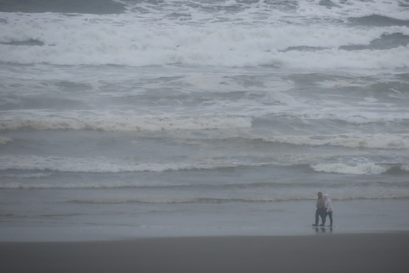 Hotel room view at Quinault Beach Resort in Washington  2 of  3 (#2551)
