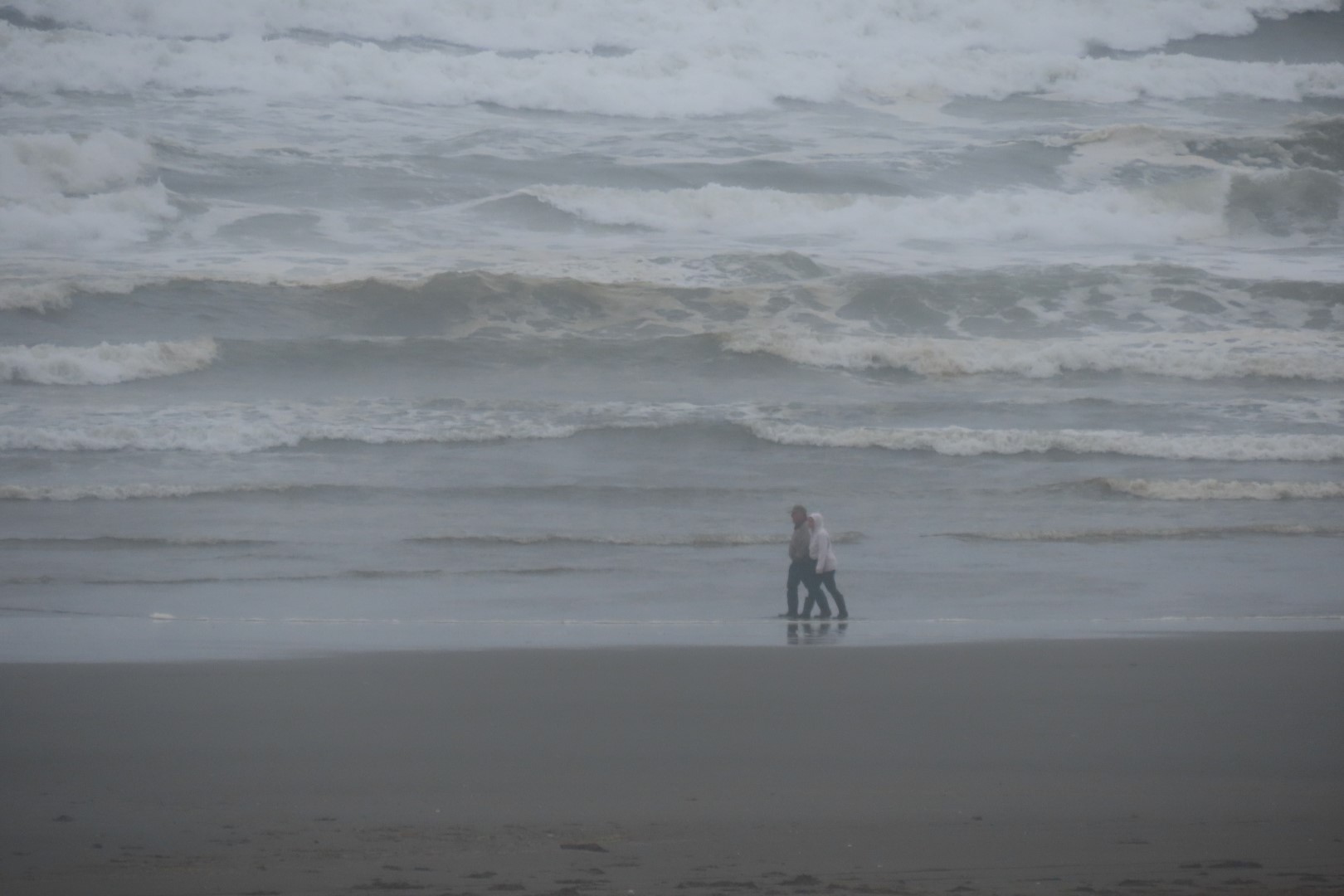 Hotel room view at Quinault Beach Resort in Washington  3 of  3 (#2552)