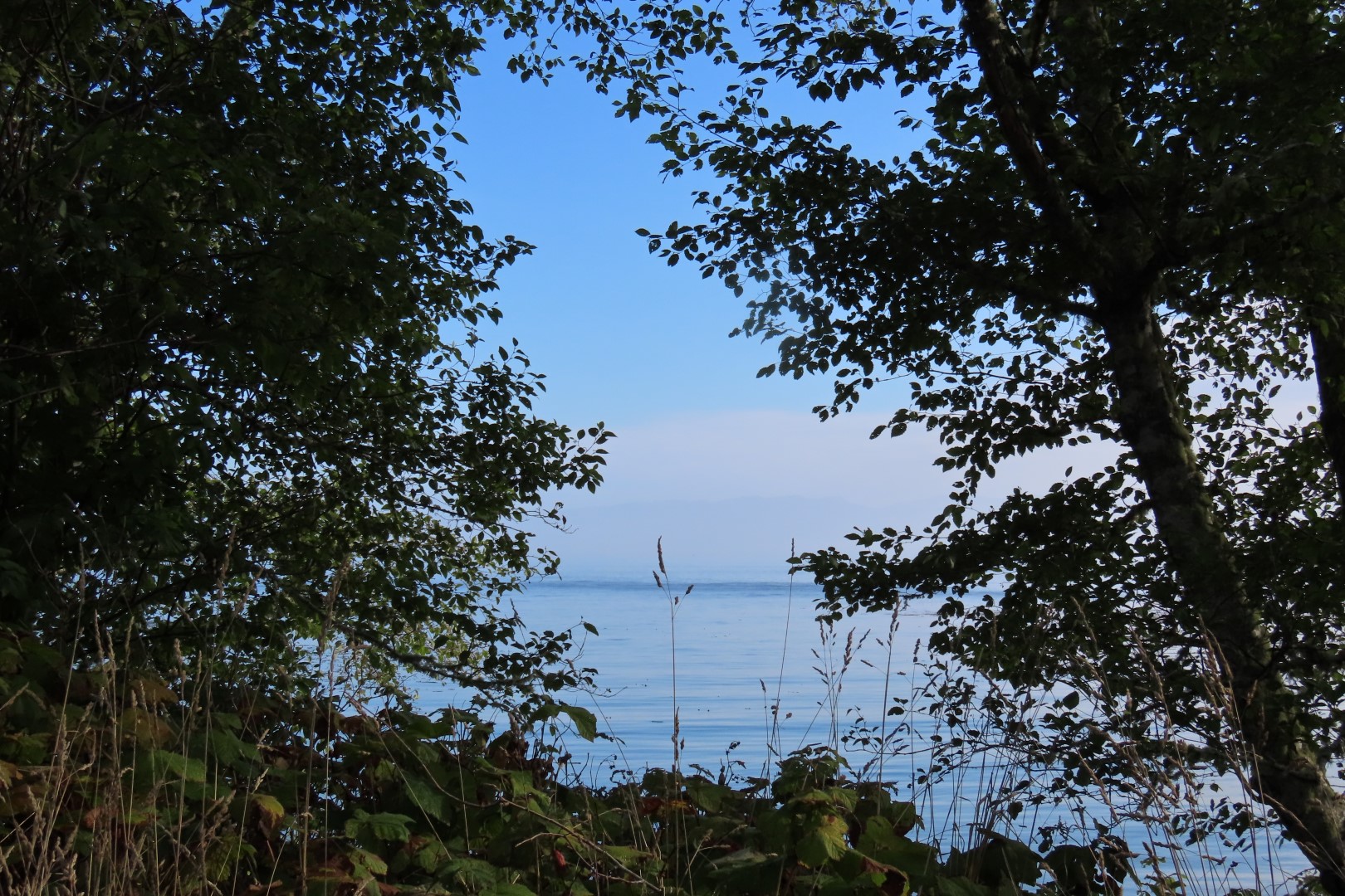 Area east of Neah Bay along highway 112 in northwestern Washington  2 of  9 (#2585)