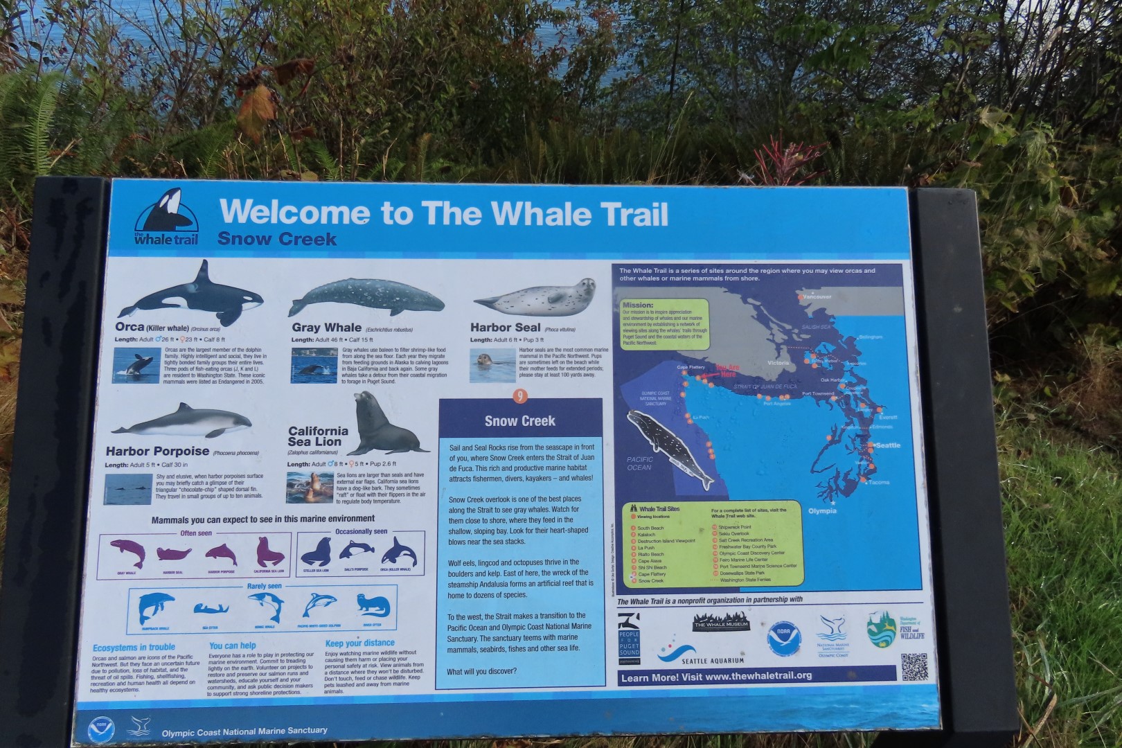 Area east of Neah Bay along highway 112 in northwestern Washington  3 of  9 (#2586)