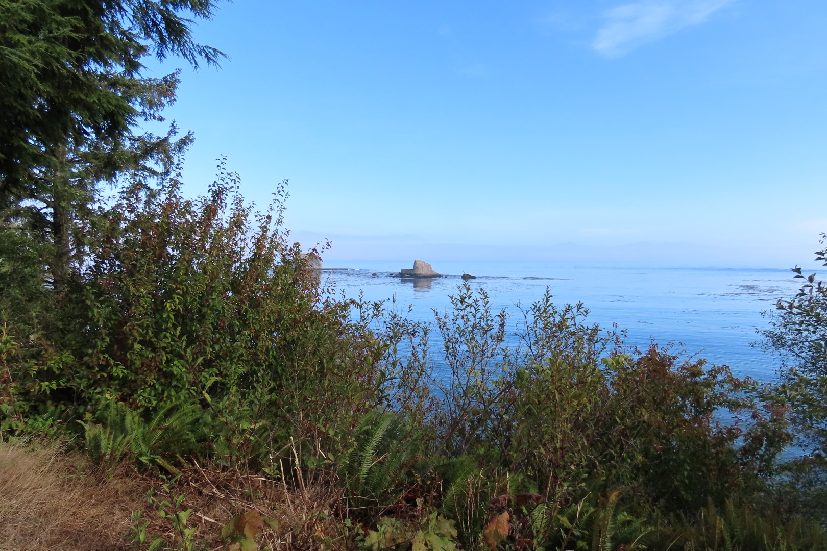 Area east of Neah Bay along highway 112 in northwestern Washington  4 of  9 (#2587)