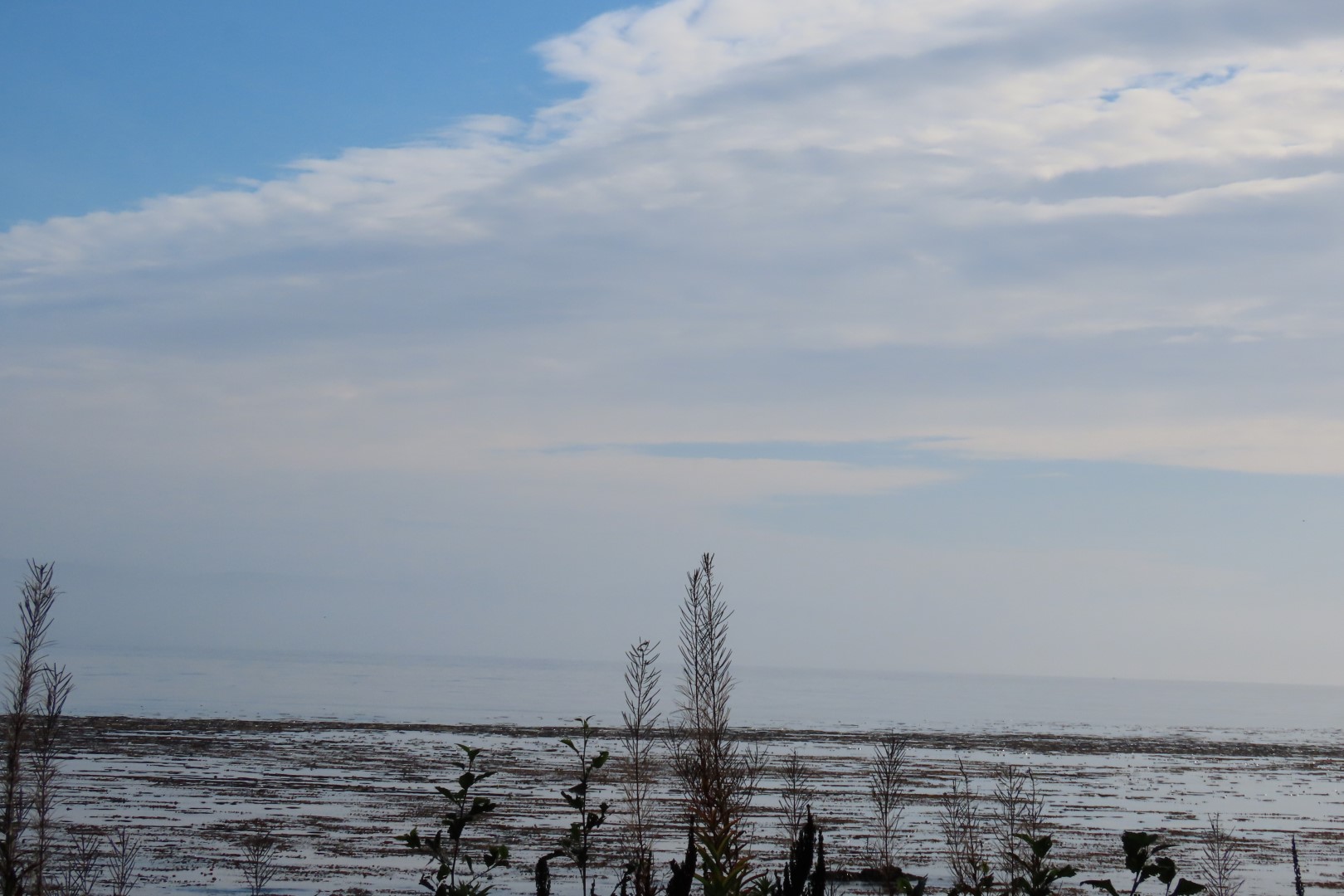 Area east of Neah Bay along highway 112 in northwestern Washington  7 of  9 (#2590)