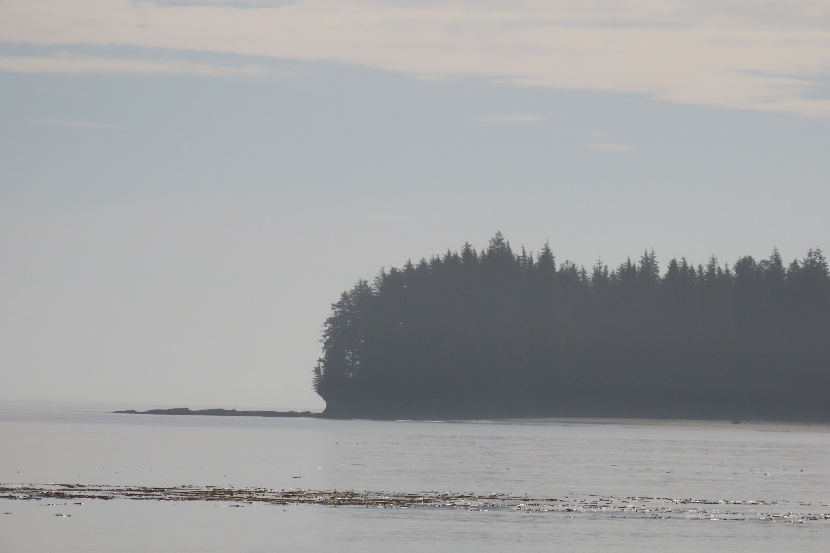 Area east of Neah Bay along highway 112 in northwestern Washington  9 of  9 (#2593)