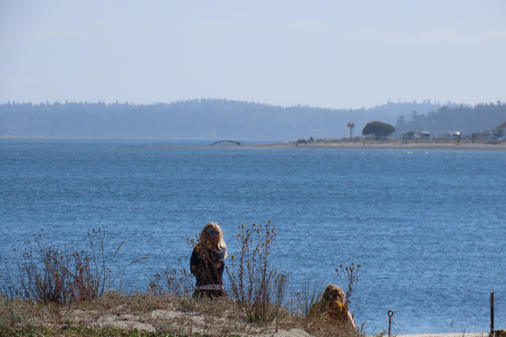 Around the Marine Science Center in Fort Worthen State Park near Port Townsend Washington  3 of 26 (#2598)