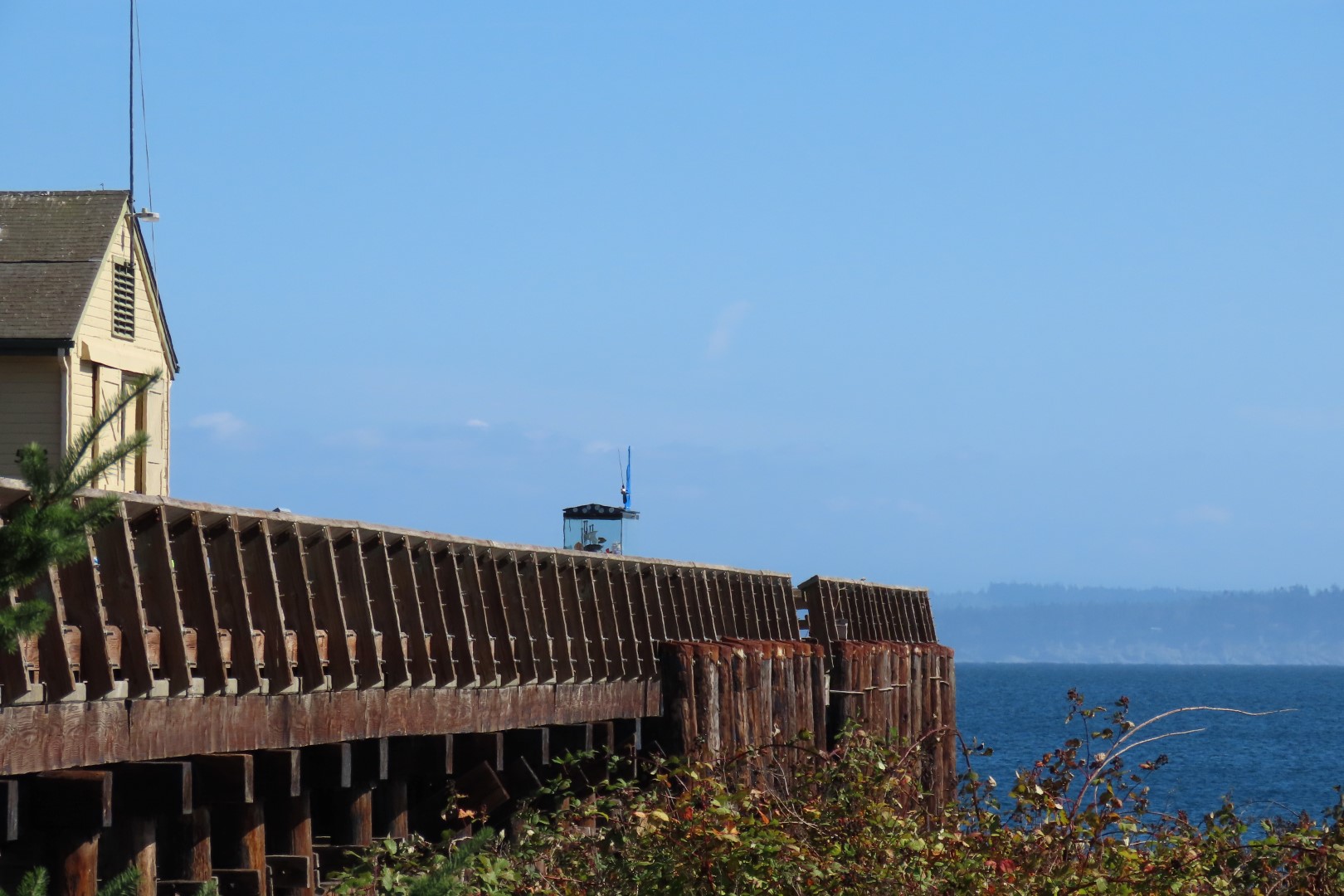 Around the Marine Science Center in Fort Worthen State Park near Port Townsend Washington  4 of 26 (#2599)