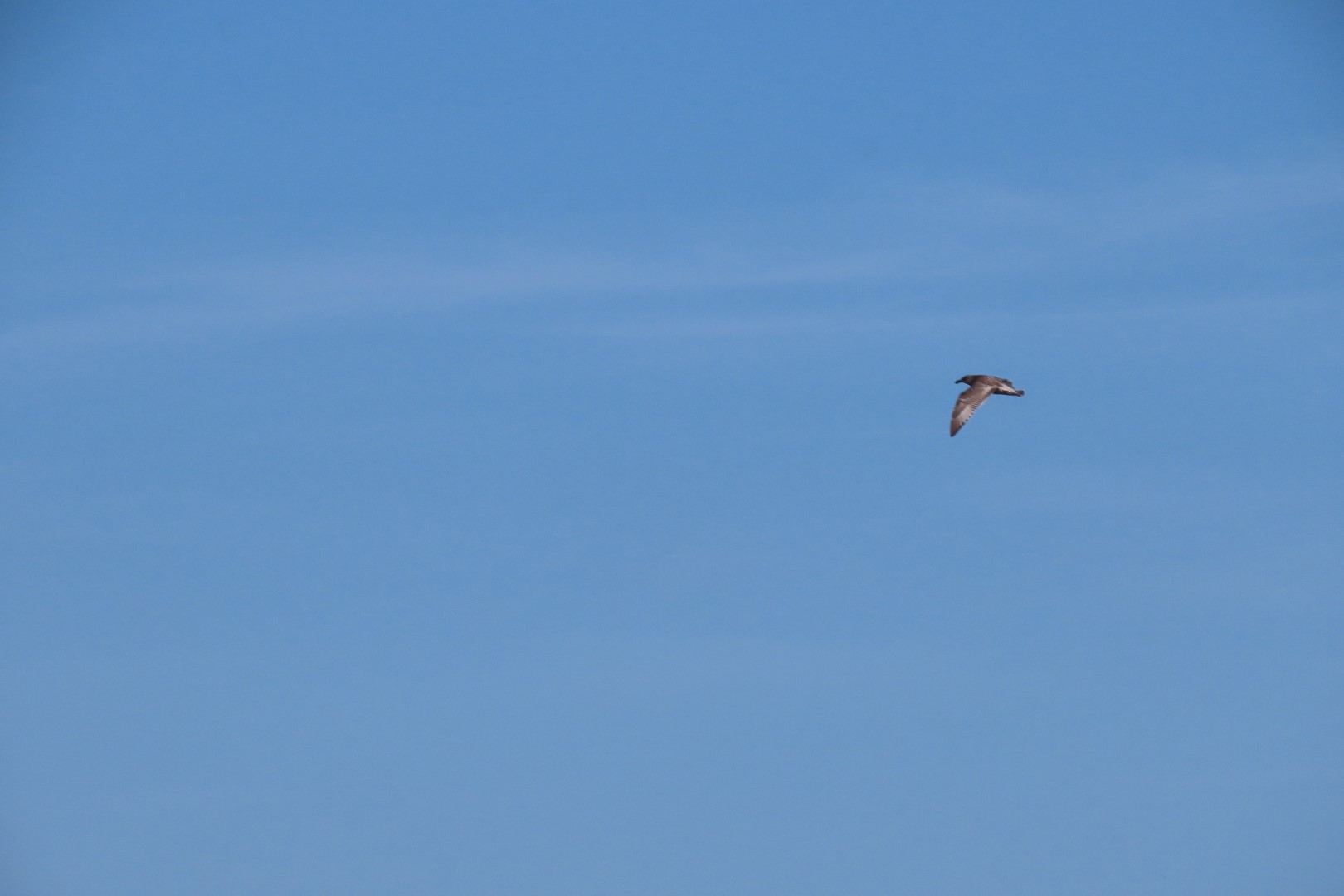 Around the Marine Science Center in Fort Worthen State Park near Port Townsend Washington  9 of 26 (#2604)