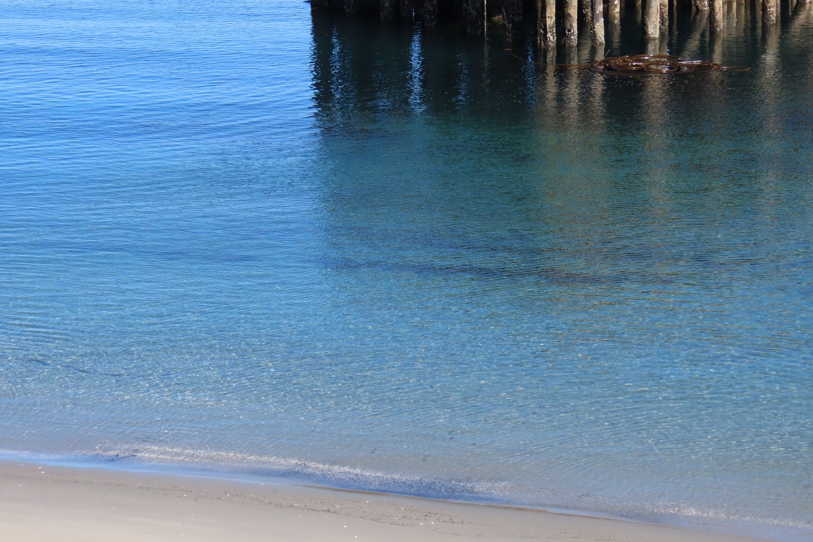 Around the Marine Science Center in Fort Worthen State Park near Port Townsend Washington 12 of 26 (#2607)