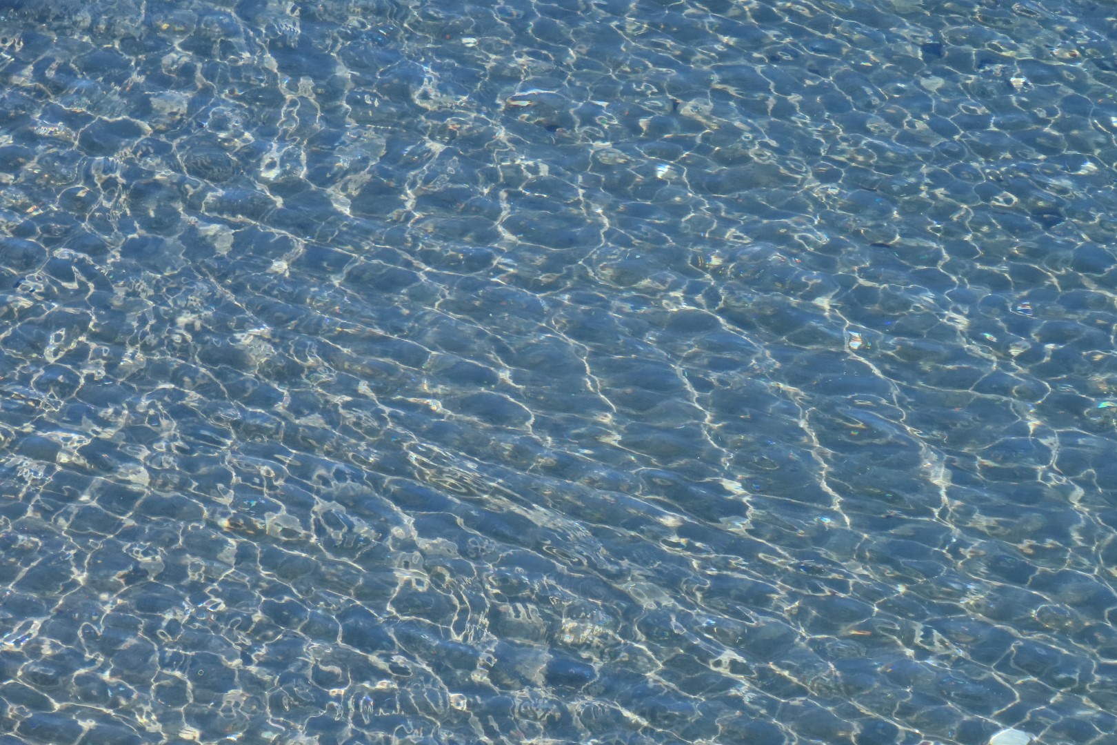 Around the Marine Science Center in Fort Worthen State Park near Port Townsend Washington 16 of 26 (#2612)