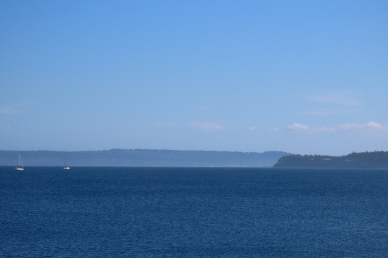 Around the Marine Science Center in Fort Worthen State Park near Port Townsend Washington 17 of 26 (#2613)