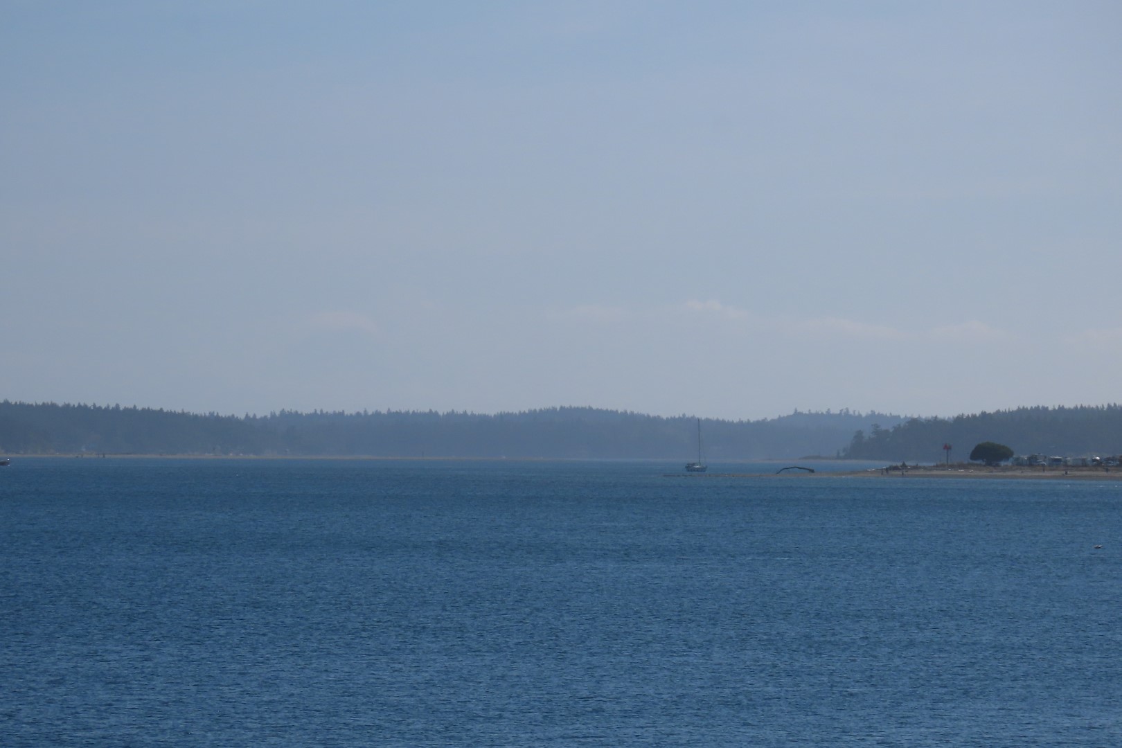 Around the Marine Science Center in Fort Worthen State Park near Port Townsend Washington 19 of 26 (#2615)