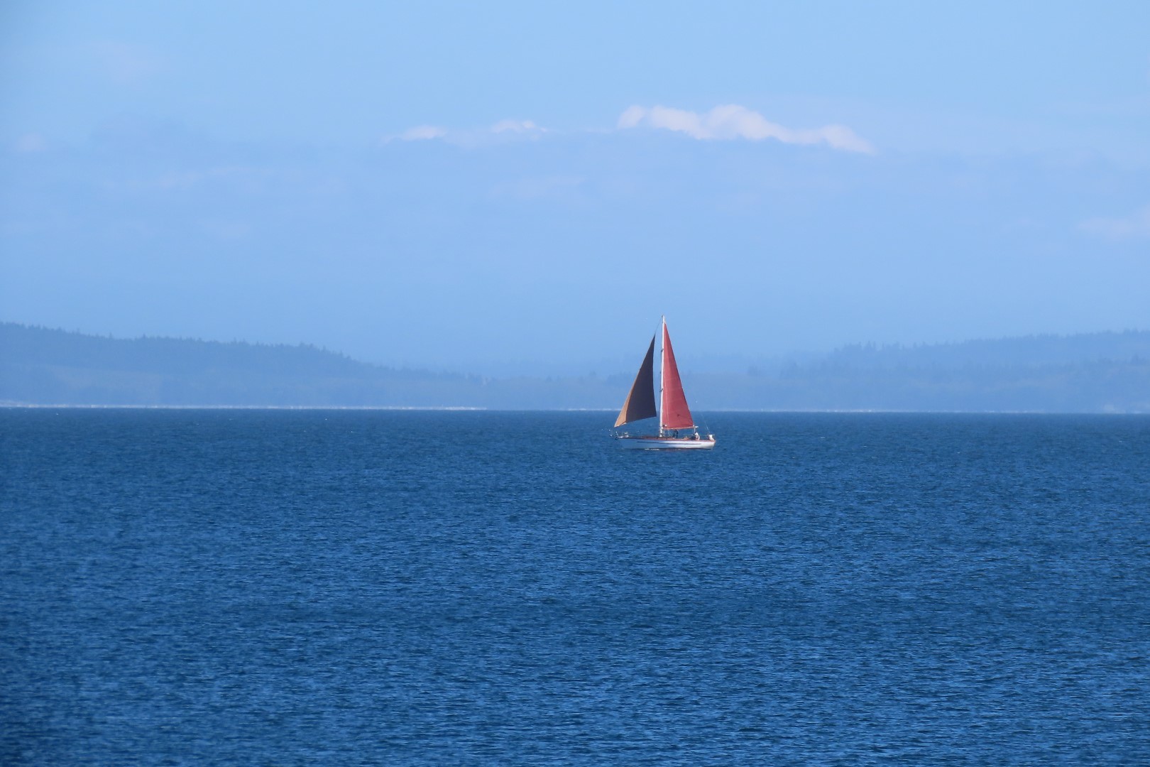 Around the Marine Science Center in Fort Worthen State Park near Port Townsend Washington 20 of 26 (#2616)