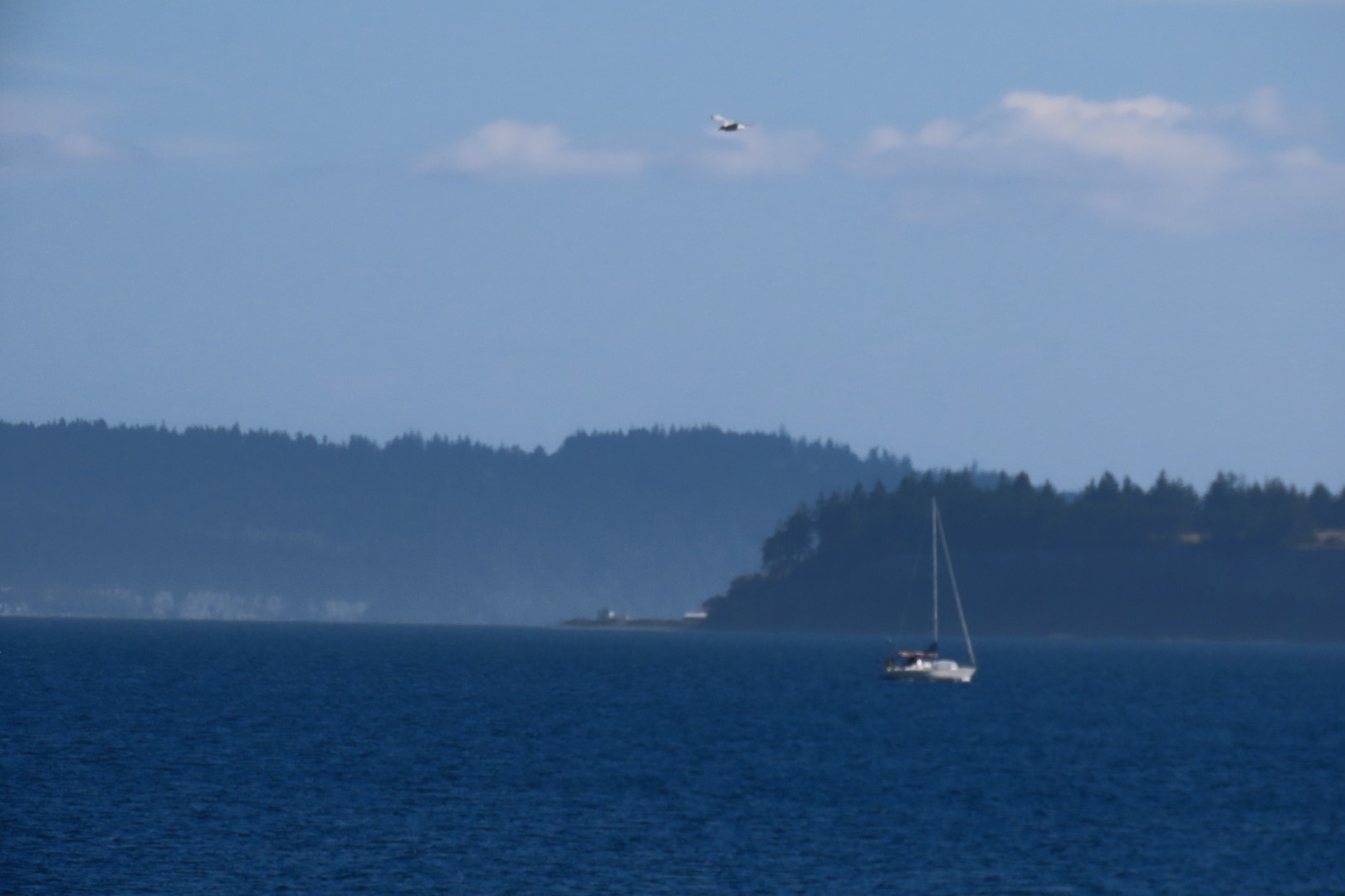 Around the Marine Science Center in Fort Worthen State Park near Port Townsend Washington 23 of 26 (#2619)