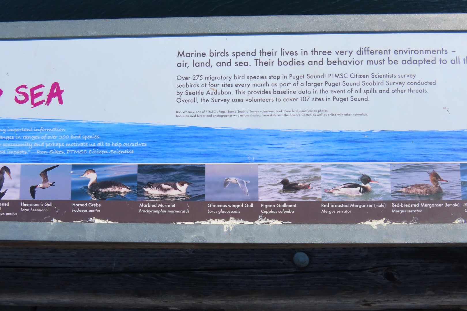 Around the Marine Science Center in Fort Worthen State Park near Port Townsend Washington 25 of 26 (#2621)