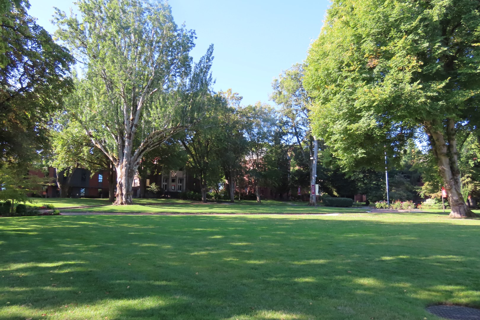 Seattle Pacific University  7 of  8 (#2659)