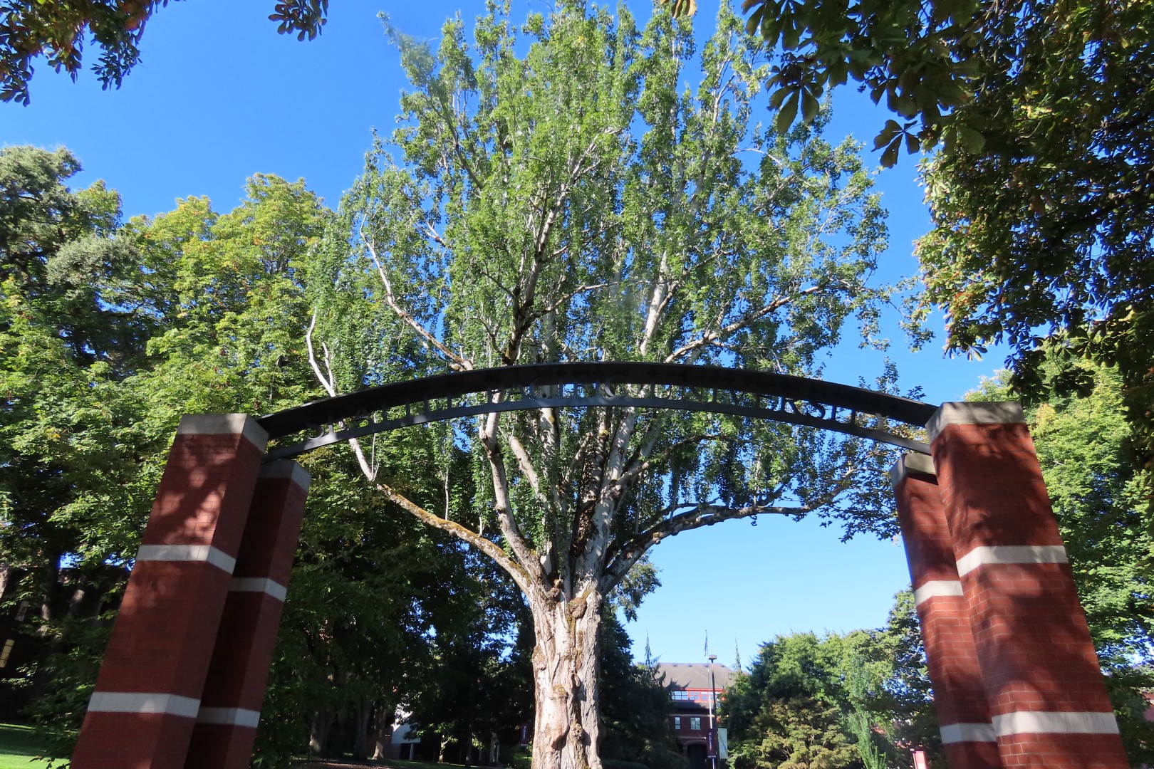 Seattle Pacific University  5 of  8 (#2661)