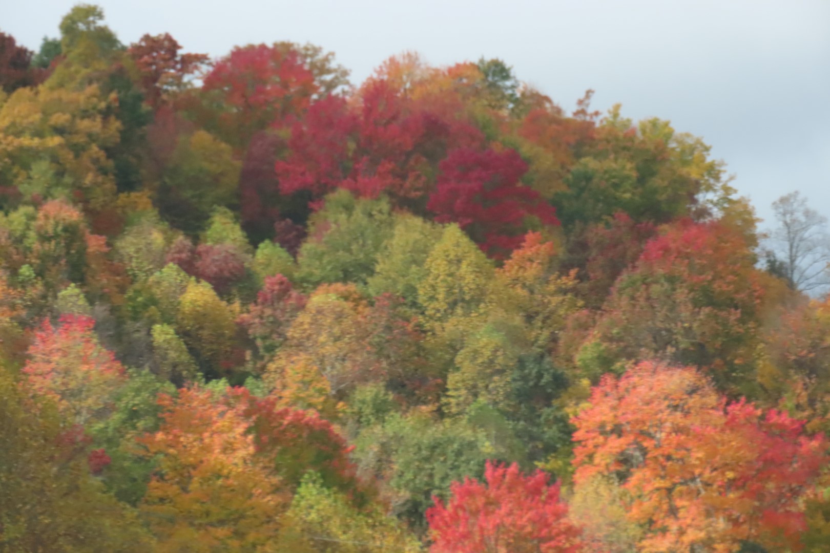 Along the Highways in West Virginia, Virginia and North Carolina  2 of  8 (#2872)